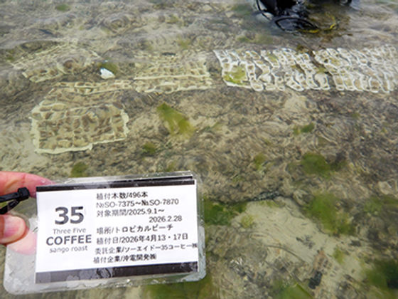 2025.9 - 2026.2（2026.4月海中移植）の公式記事に掲載された写真